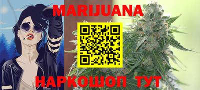 сатива Кандалакша