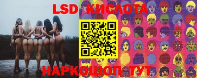 стаф Кинель