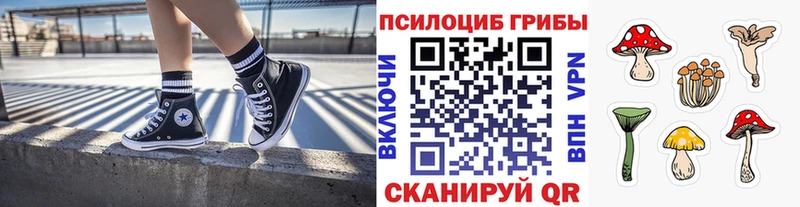 Псилоцибиновые грибы мицелий нарко площадка какой сайт Куйбышев наркота